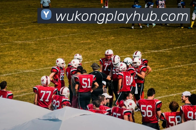 悟空体育平台生态图