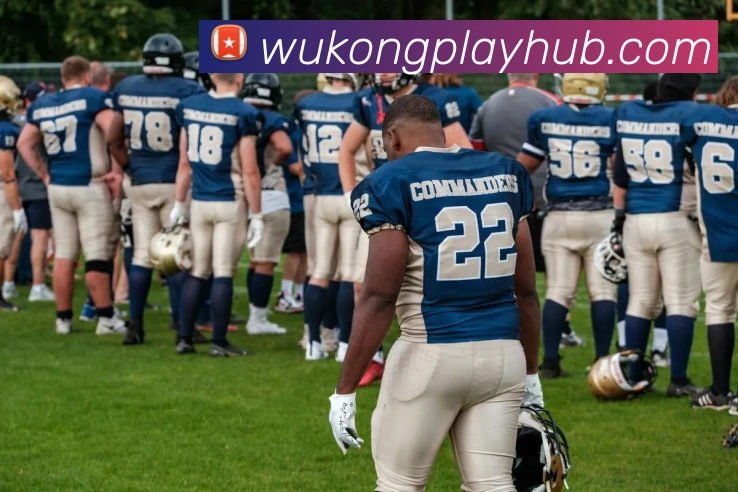 悟空体育APP 封面图